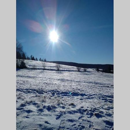 Altenauer Waldfrische Altenau  Kültér fotó