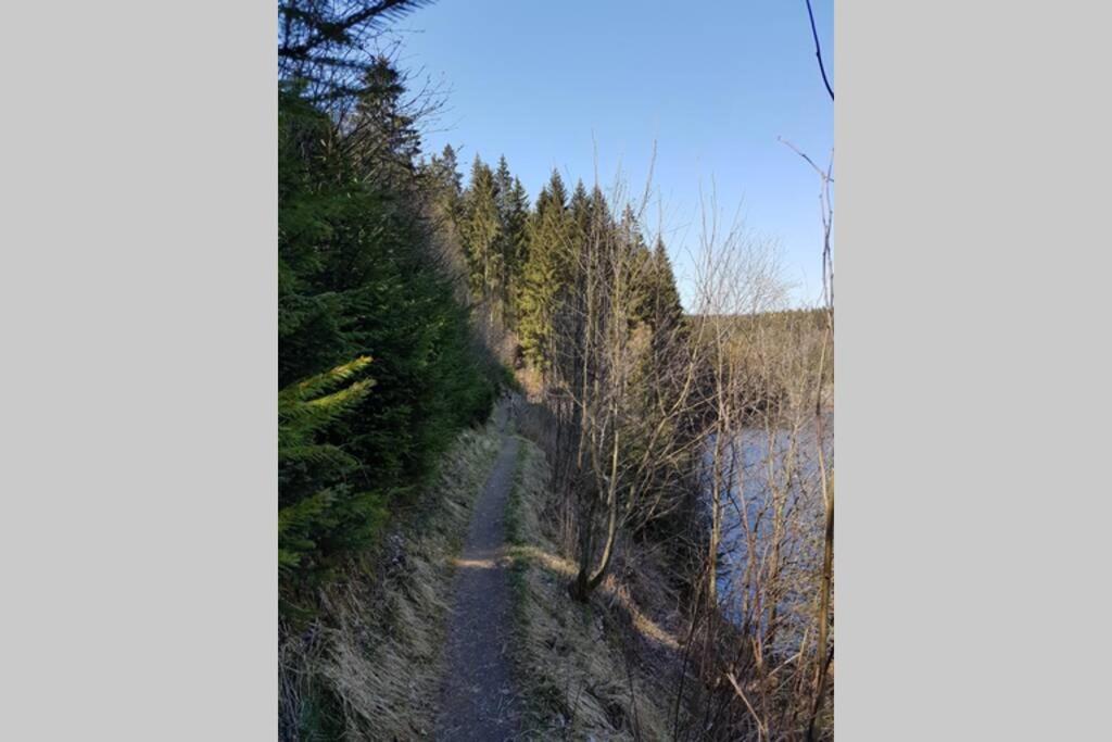 Altenauer Waldfrische Altenau  Kültér fotó